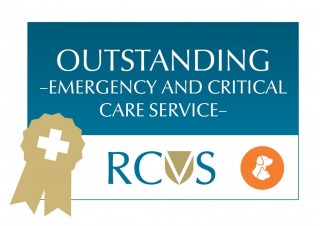 A certification badge features the text: 