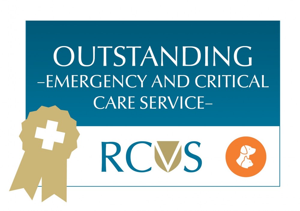 A certification badge features the text: 