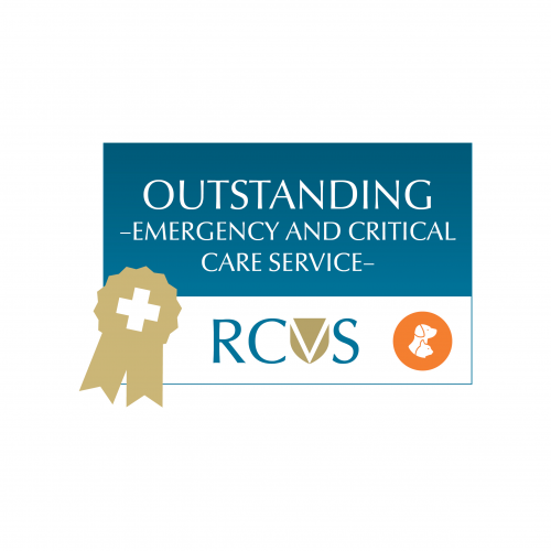 Image of Vets Now Aberdeen Outstanding Award In Emergency & Critical Care