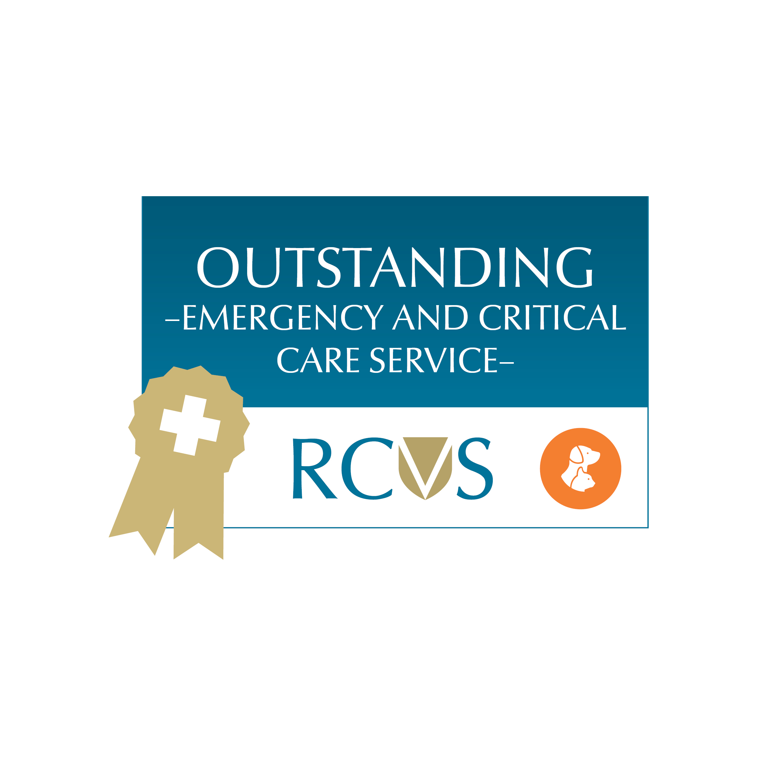 An image of RCVS Emergency & Critical Care Outstanding Award
