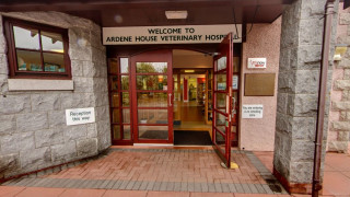 Entrance doors of Ardene House Veterinary Hospital, open, inviting visitors to enter. Signs read: “WELCOME TO ARDENE HOUSE VETERINARY HOSPITAL, Entrance doors of Ardene House Veterinary Hospital, open, inviting visitors to enter. Signs read: “WELCOME TO ARDENE HOUSE VETERINARY HOSPITAL,