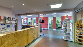 Wooden reception desk stands in a veterinary clinic lobby. Shelves with pet products, signs reading  Wooden reception desk stands in a veterinary clinic lobby. Shelves with pet products, signs reading