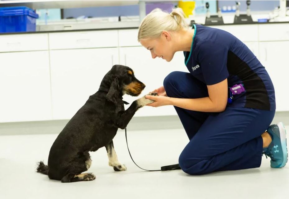 Female vets near store me