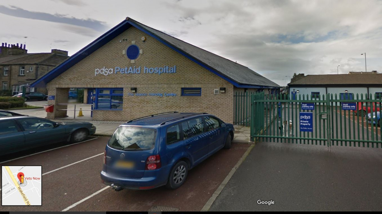 Emergency Vet Bradford Out Of Hours Pet Care Vets Now