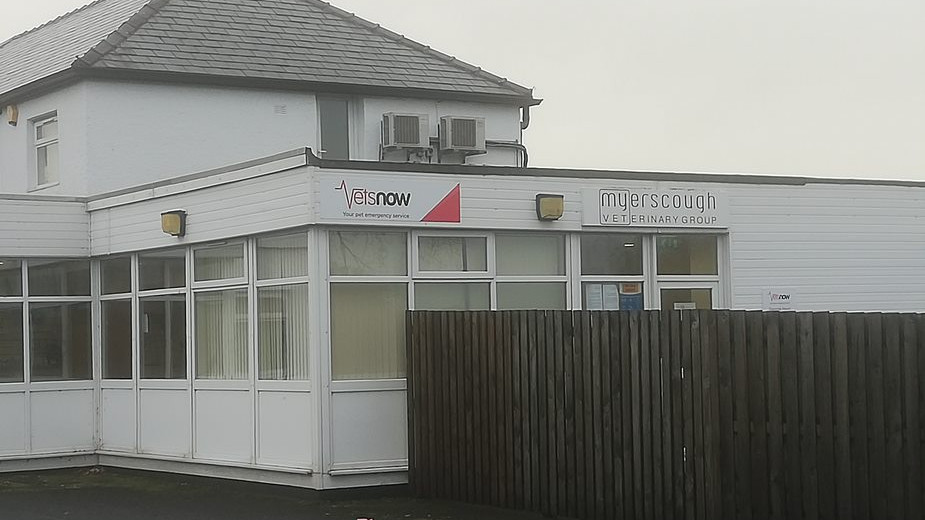 Emergency Vet Preston Out Of Hours Pet Care Vets Now