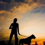 dog-safety-at-night-Vets-Now Silhouetted person stands with a large dog on a leash, set against a colorful sunset sky with scattered clouds and trees in the background.
