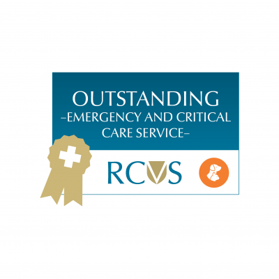 Vets Now Reading RCVS Certified In ECC