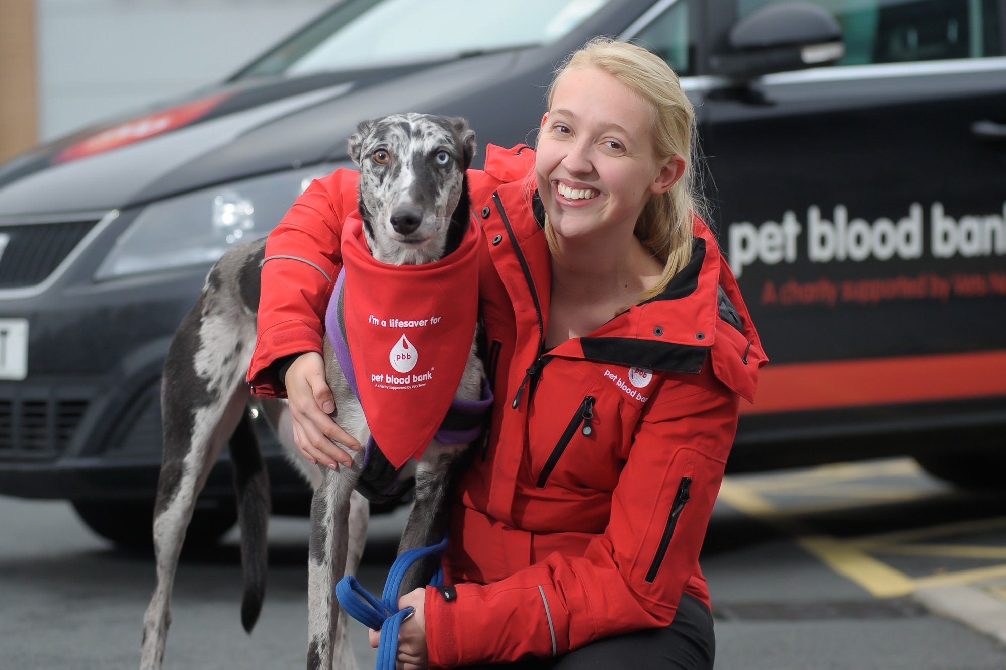 Pet Blood Bank UK | Blood Transfusion Charity For Dogs