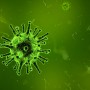 Canine herpes virus A large, green, spiky virus particle floats in a blurred, green-tinted microscopic environment, surrounded by smaller, similar particles.