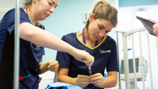 Two veterinary professionals in blue uniforms, labeled  Two veterinary professionals in blue uniforms, labeled