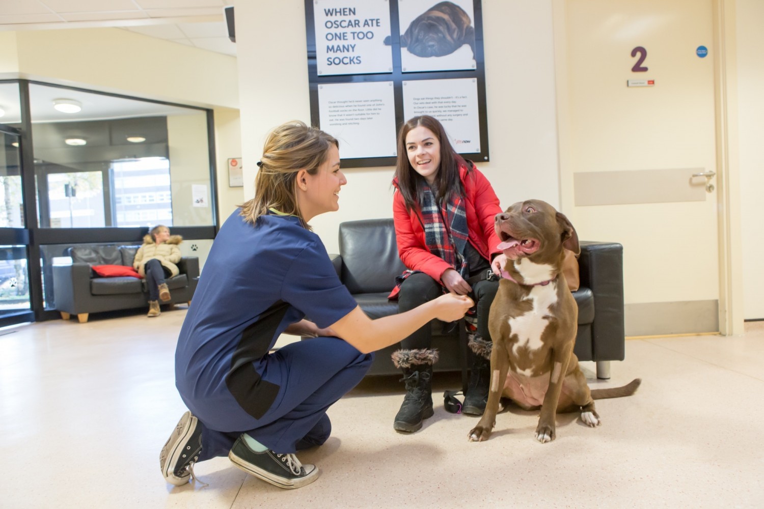 What To Expect When You Visit An Emergency Vet | Vets Now