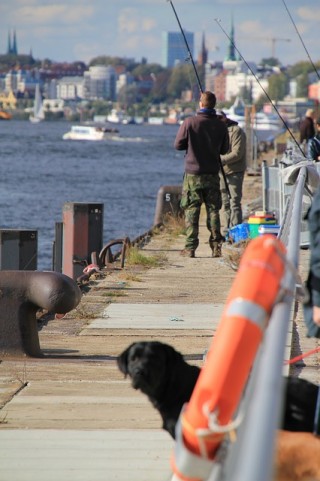People fish along a riverside walkway, surrounded by urban buildings and distant boats. A black dog peers over an orange life preserver in the foreground.