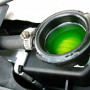 Antifreeze and dogs A car radiator cap removed, revealing bright green coolant inside the engine compartment. The surrounding metal and plastic components indicate an automotive maintenance setting.