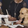 What to do if your dog eats chocolate cake? A child stirs ingredients in a bowl while a woman and a dog watch. Flour, chocolate cake, and cookies surround them on a kitchen counter. The flour bag reads