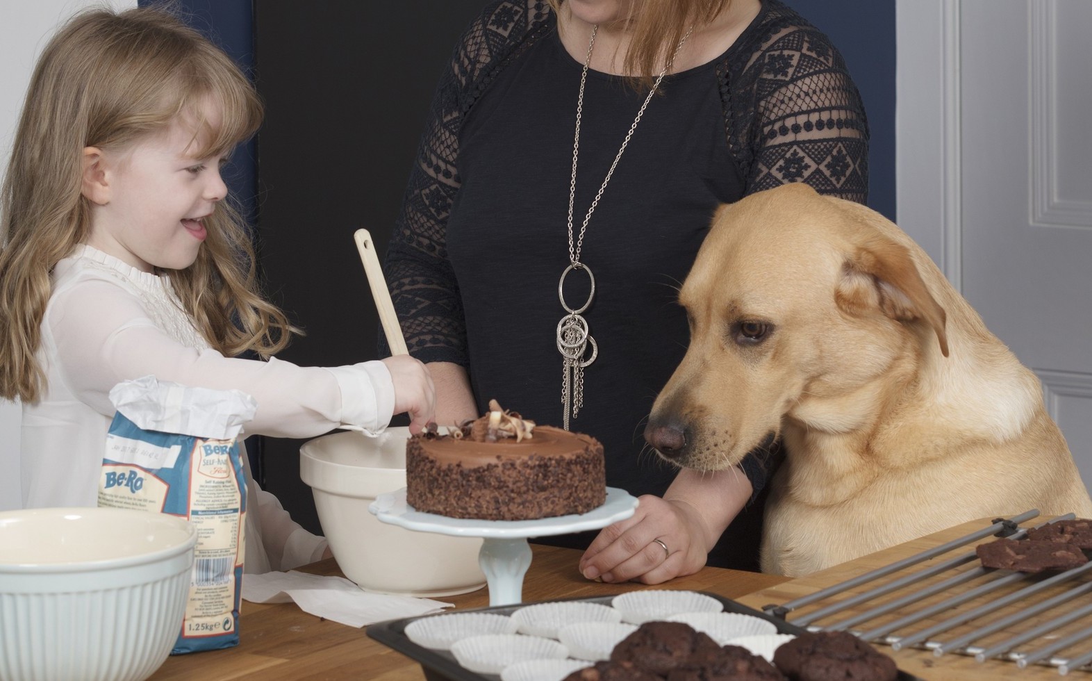 Dog drank hot clearance chocolate