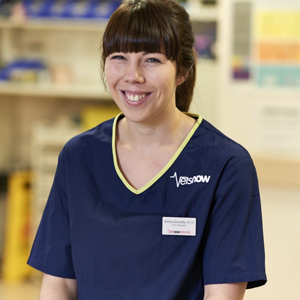 Emma Donnelly, Veterinary Surgeon Glasgow Vets Now