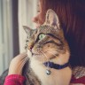 Image of cat with owner for Vets Now article on cat not eating