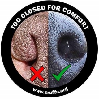 Split canine noses comparison; left side shows a closed nostril with a red 