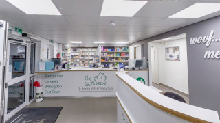 Reception desk displaying brochures, surrounded by shelves of pet supplies in a veterinary clinic. Text includes:  Reception desk displaying brochures, surrounded by shelves of pet supplies in a veterinary clinic. Text includes: