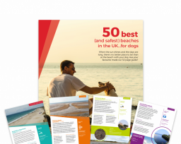 A man and dog sit by the seaside, highlighting a guide titled “50 best (and safest) beaches in the UK…for dogs.” Brochures of various beaches are pictured below.