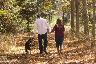 A couple walks hand in hand with a chocolate Labrador dog on a leaf-covered forest path, surrounded by autumn trees.