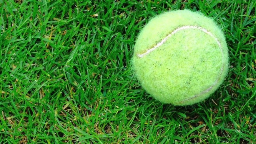 are professional tennis balls bad for dogs