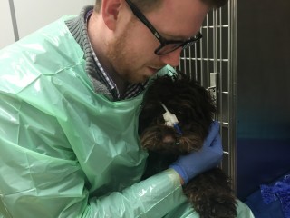 A person in a protective gown and gloves cradles a dog with a bandage and syringe attached to its face, positioned near a metallic veterinary cage.