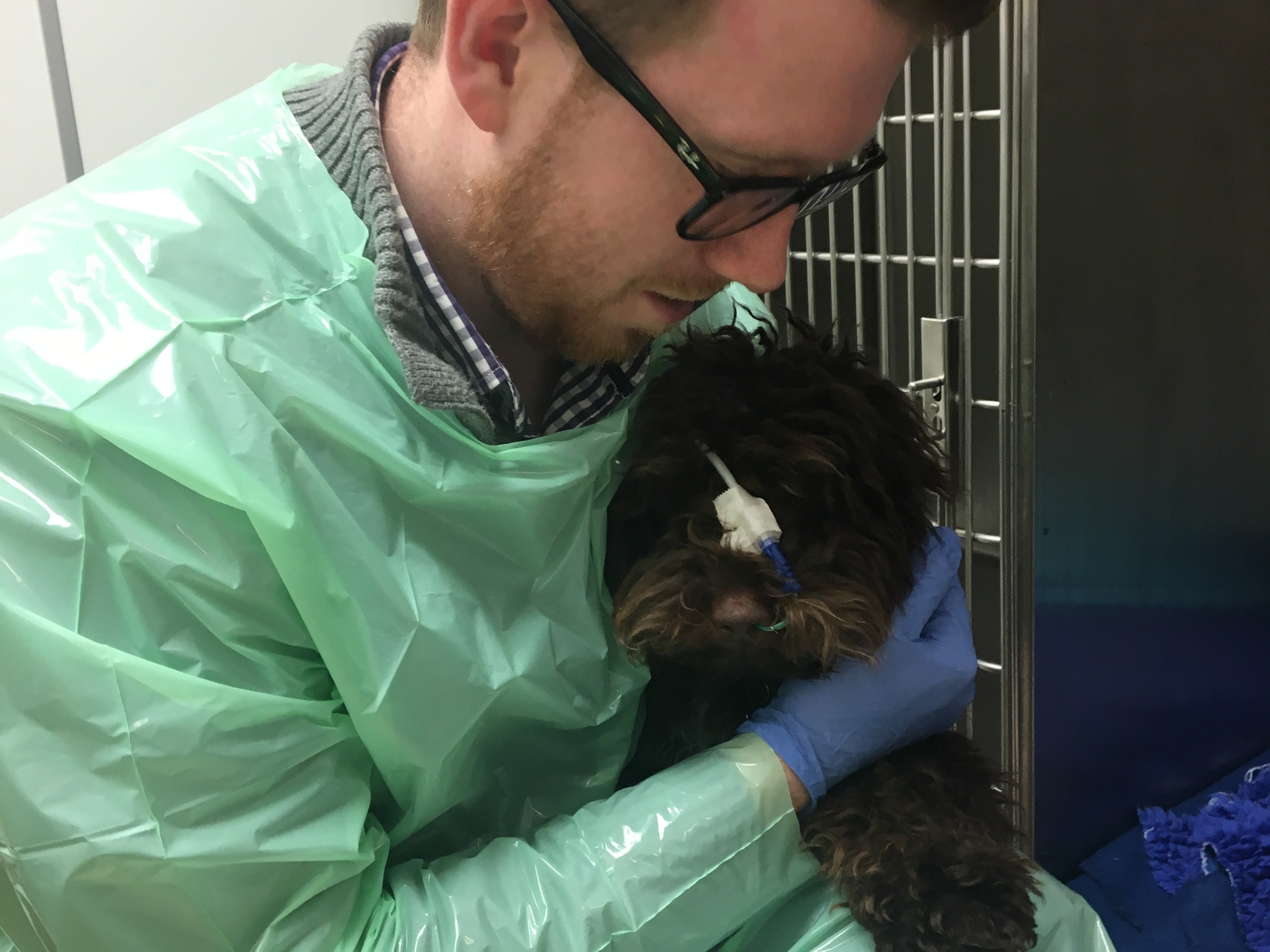 A person in a protective gown and gloves cradles a dog with a bandage and syringe attached to its face, positioned near a metallic veterinary cage.