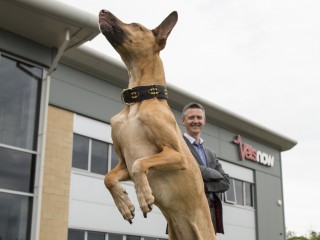 A dog with a Batman collar jumps excitedly outside Vets Now building, beside a smiling man in a suit.