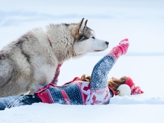 A large husky stands beside a person lying in the snow, playfully raising an arm while wearing a colorful winter sweater and earmuffs, in a snowy landscape.