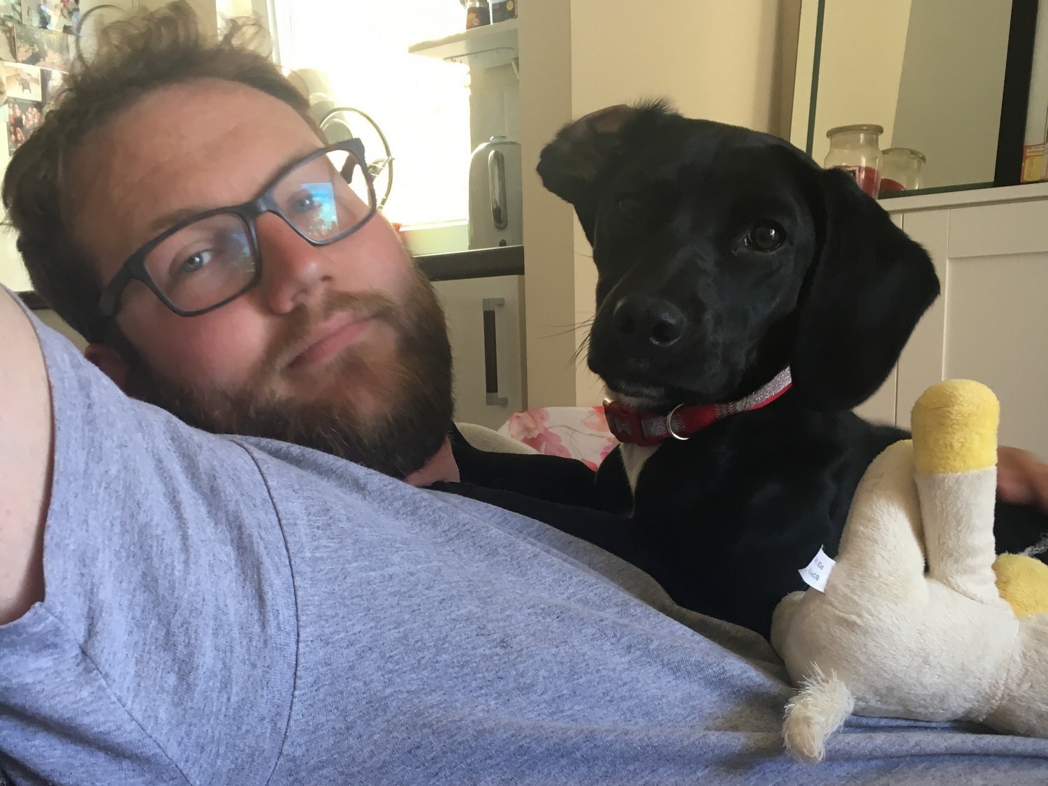 A man with glasses and a beard relaxes on a couch, cuddling a black dog wearing a red collar. The dog appears alert, surrounded by pillows and a stuffed toy.