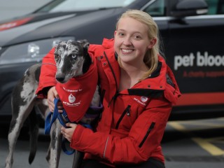 A woman crouches beside a black and white dog wearing a red bandana. Text reads: 