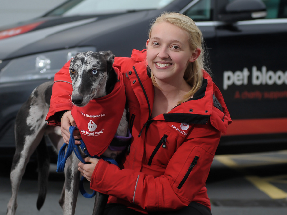 A woman crouches beside a black and white dog wearing a red bandana. Text reads: 