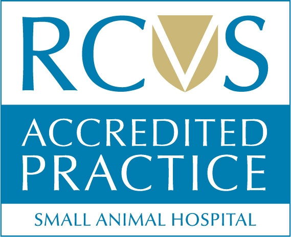 Blue and white logo of RCVS Small Animal hospital accreditation