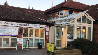 The Drove Veterinary Hospital entrance displays frosted windows and glass doors beneath a brick building. Signs on the facade read, “Drove Veterinary Hospital,†and “This is NOT a Covid Testing Centre.†The Drove Veterinary Hospital entrance displays frosted windows and glass doors beneath a brick building. Signs on the facade read, “Drove Veterinary Hospital,†and “This is NOT a Covid Testing Centre.â€
