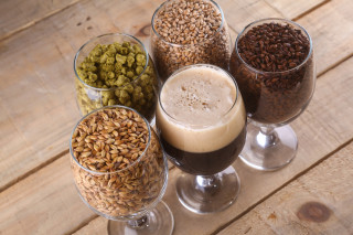 A frothy glass of dark beer is centered among four glasses holding grains and hops on a wooden table, highlighting beer ingredients in a rustic setting.