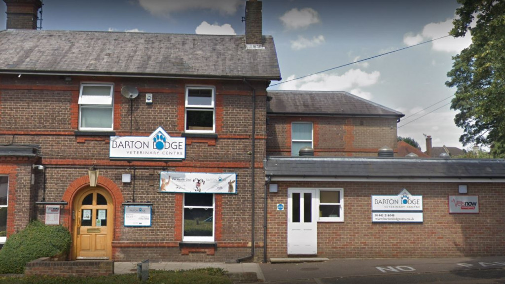 Emergency Vet Hemel Hempstead Out Of Hours Pet Care