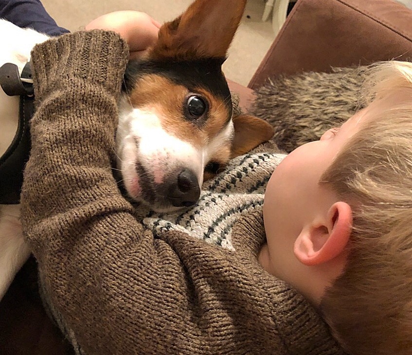A small dog lays its head on a child's chest, both wrapped in brown knit sweaters, relaxing on a sofa with a cozy atmosphere.