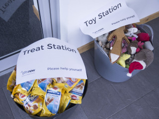 Dog treats at Vets Now Buckets containing dog treats and toys sit on a tiled floor. Signs read,