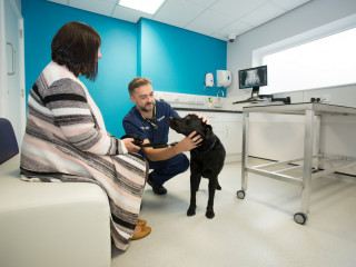 A black dog is being examined by a veterinarian kneeling beside it, while a woman in a striped sweater watches in a bright veterinary examination room with a medical table and computer.