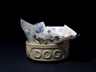 A dog bowl filled with British pound notes and coins, prominently marked with “DOG,” situated against a dark background.