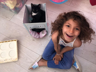 A black-and-white cat sits comfortably inside a small cardboard box, while a smiling child with curly hair sits on a wooden floor nearby, surrounded by toys.