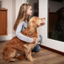 Dog looking out to fireworks A young girl hugs a golden dog while kneeling, gazing out a glass door in a cozy room with wooden furniture.