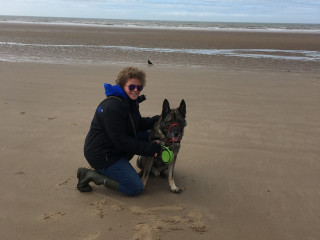 A person kneels beside a German Shepherd on a sandy beach, holding a frisbee. The ocean stretches out in the background under a cloudy sky, and a bird walks in the distance.