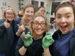Five smiling people in a veterinary clinic, one holding a large claw with green gloves, others giving thumbs up, surrounded by medical supplies and equipment, expressing excitement and success.