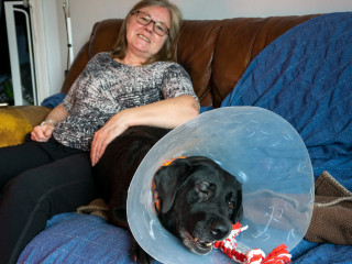 A black dog with a plastic cone collar rests on a couch, partially covered by a blue blanket. A smiling woman in glasses leans back comfortably beside it.