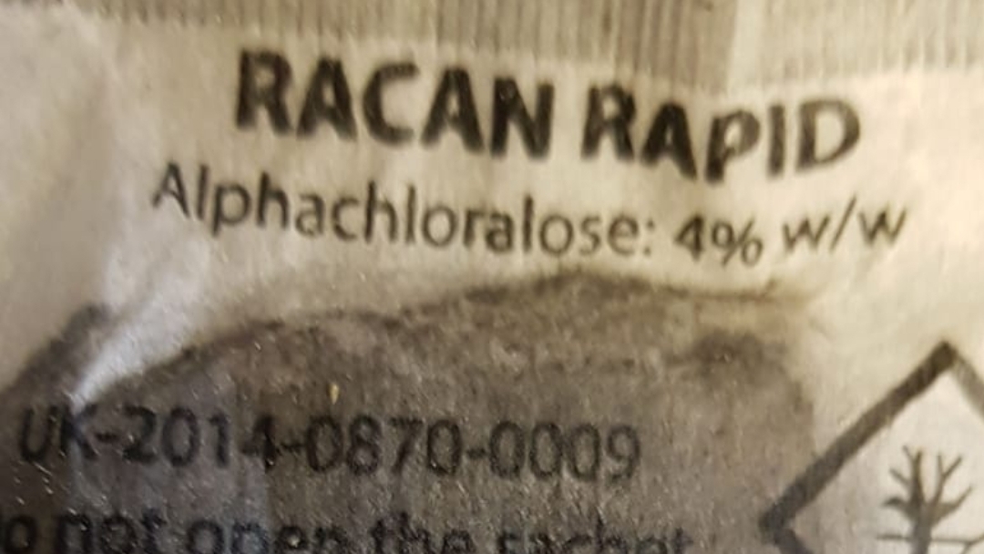 Packet displays bold text: 