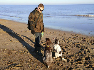 Image of dogs Aida and Isla with owner Dan for Vets Now article on dog are raisins