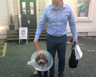 Image of Monty the dog leaving the vet with his owner for Vets Now article on dog fell from bridge