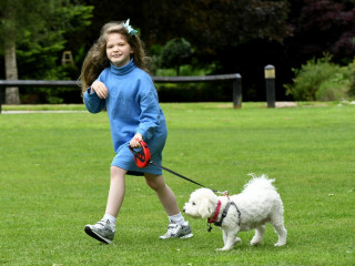 An image of a young girl walking her pet dog in a field